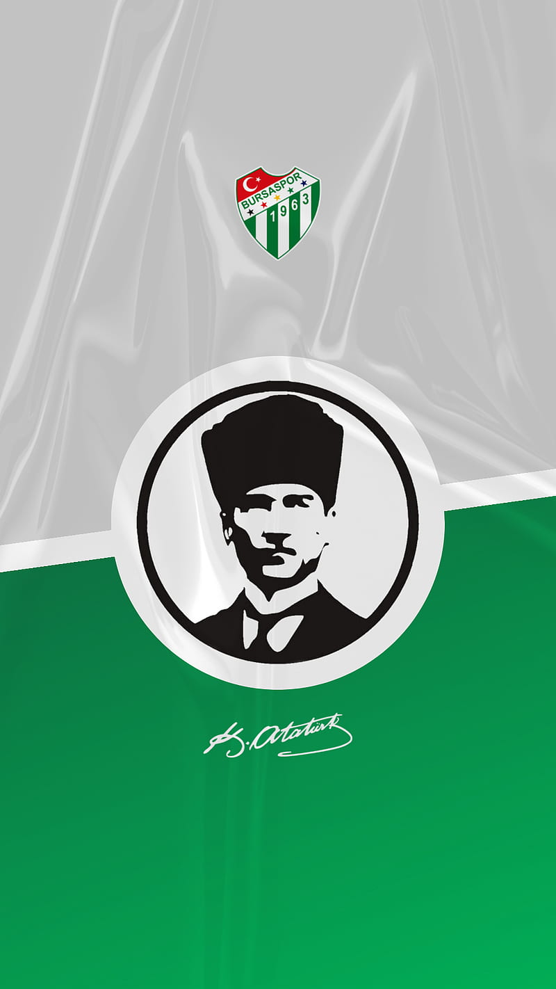 Bursaspor , bursa, crocodile, football, green, teksas, timsah, white, HD phone wallpaper