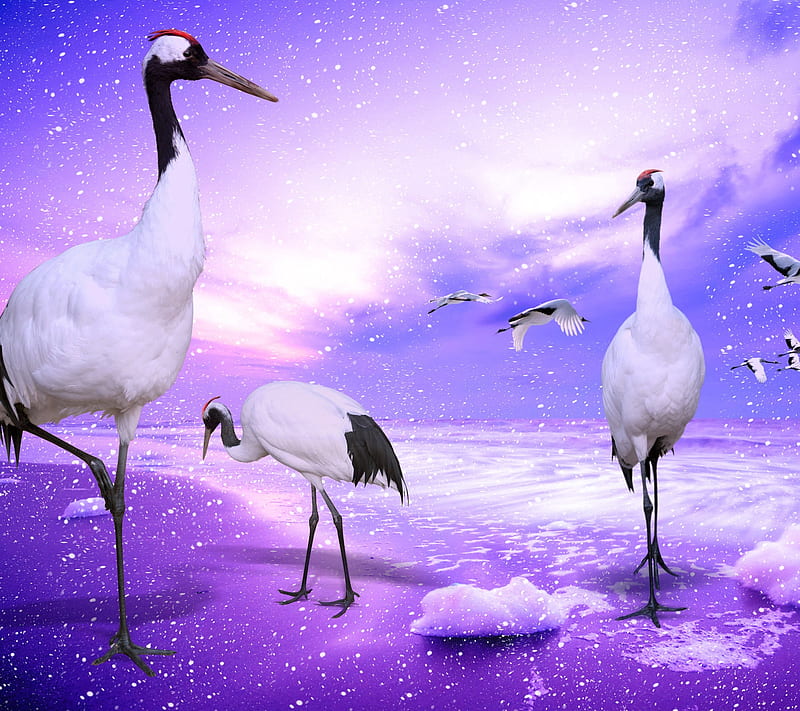 Storks, fantasy, ice, landscape, purple, HD wallpaper