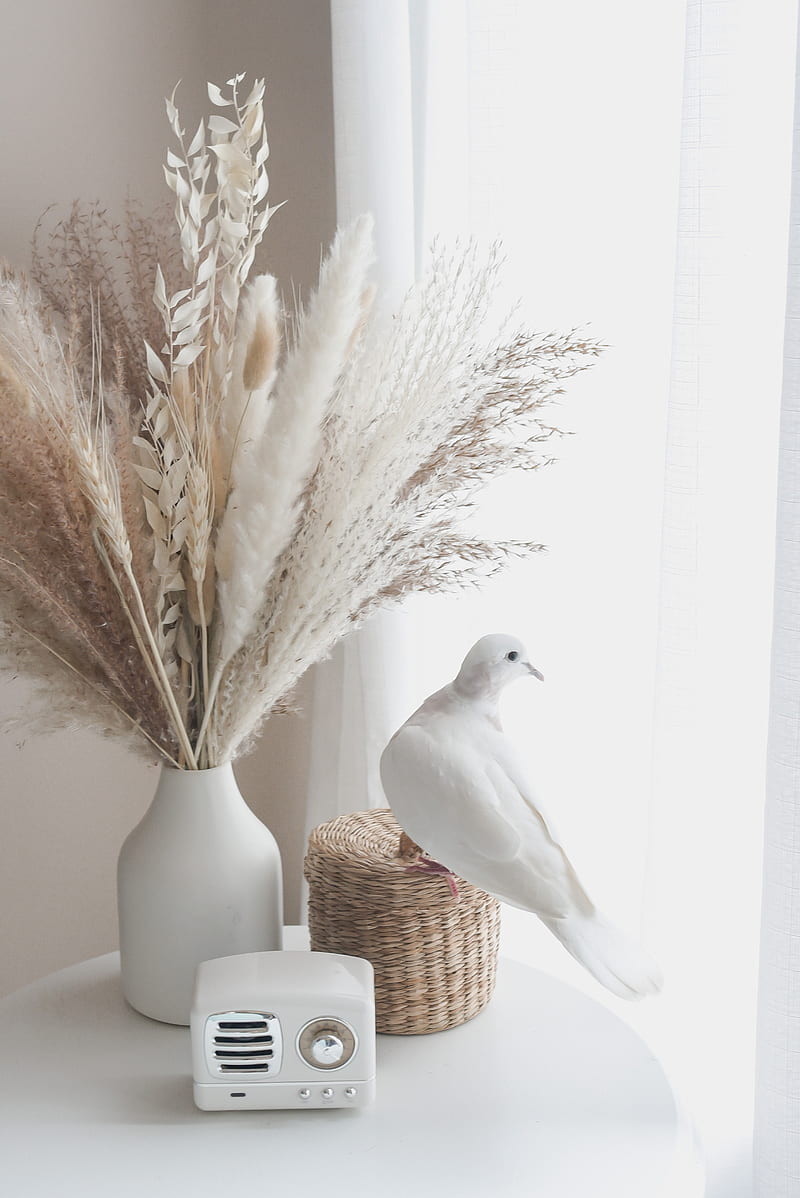 bouquet, radio, dove, decor, white, HD phone wallpaper