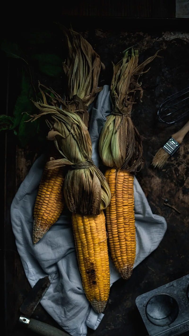 Corn, food, graph, nature, yellow, dark, HD phone wallpaper