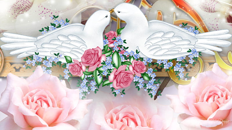 Doves and Roses, doves, romantic, love, birds, flowers, roses, HD ...