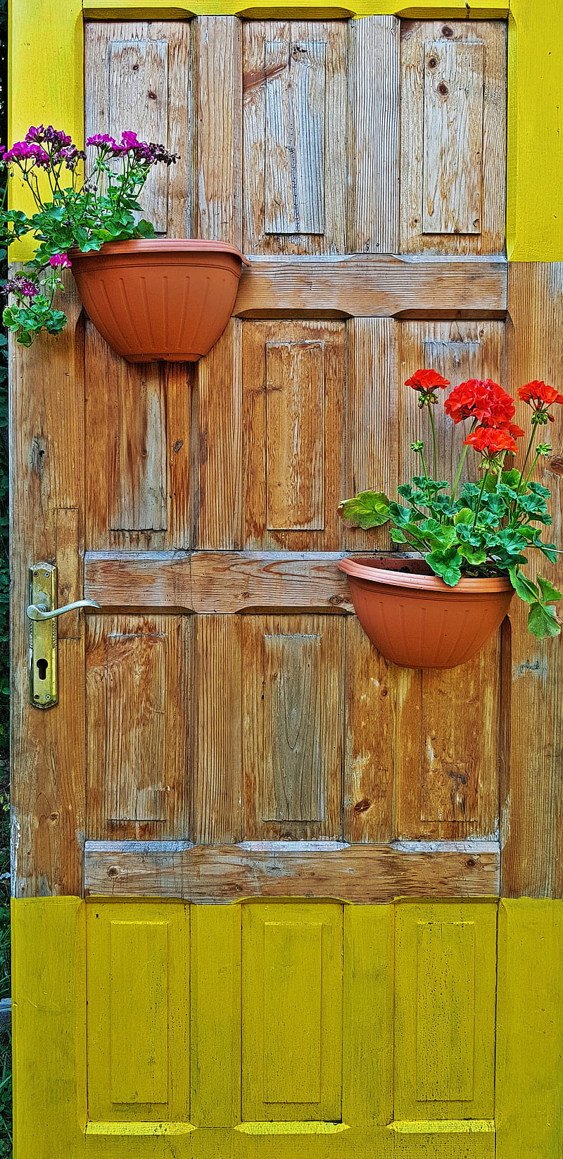 Door, brown, decor, flower, green, new, red, scenery, vintage, yellow, HD phone wallpaper