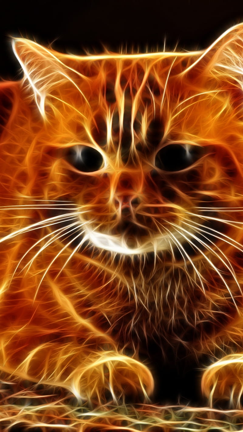 Abstract Cat, animal, background, cute, kitty, pet, HD phone wallpaper