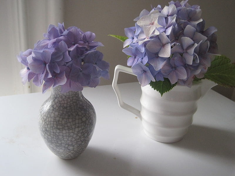Morning light, table, wonderful, pale, vase, bonito, soft, purple, gris, flowers, nature, violet, morning, white, light, HD wallpaper