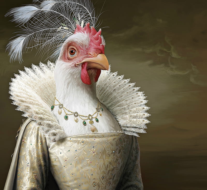 :D, red, chicken, peacock, queen, creative, fantasy, feather, lady, white, HD wallpaper