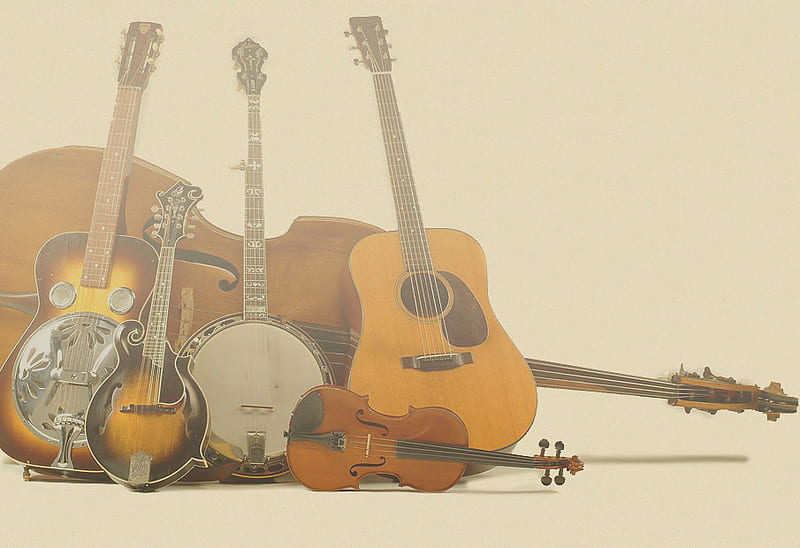 Bluegrass Instruments, fiddle, drobro, and banjo, guitar, bass, mandolin, HD wallpaper