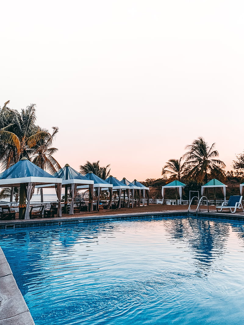 pool, palm trees, tropics, rest, HD phone wallpaper