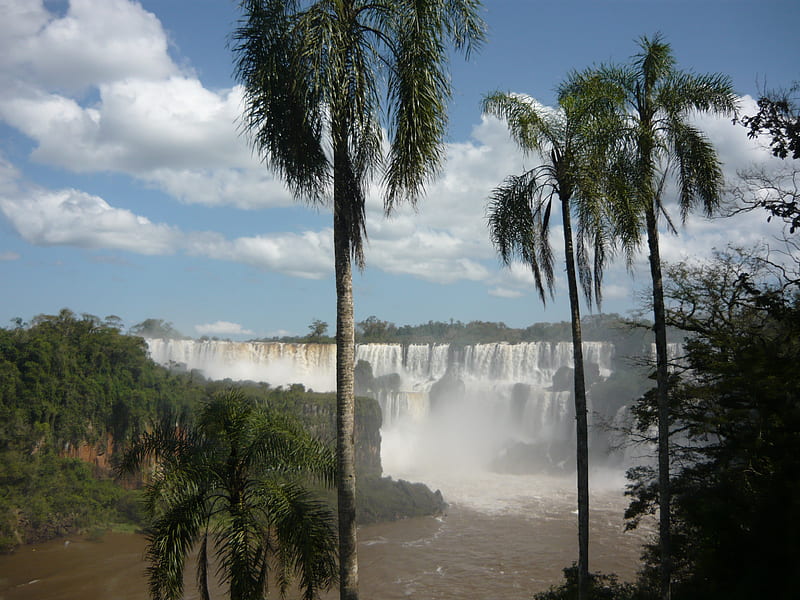 Iguazu Falls, river, panoramic, falls, palms, HD wallpaper