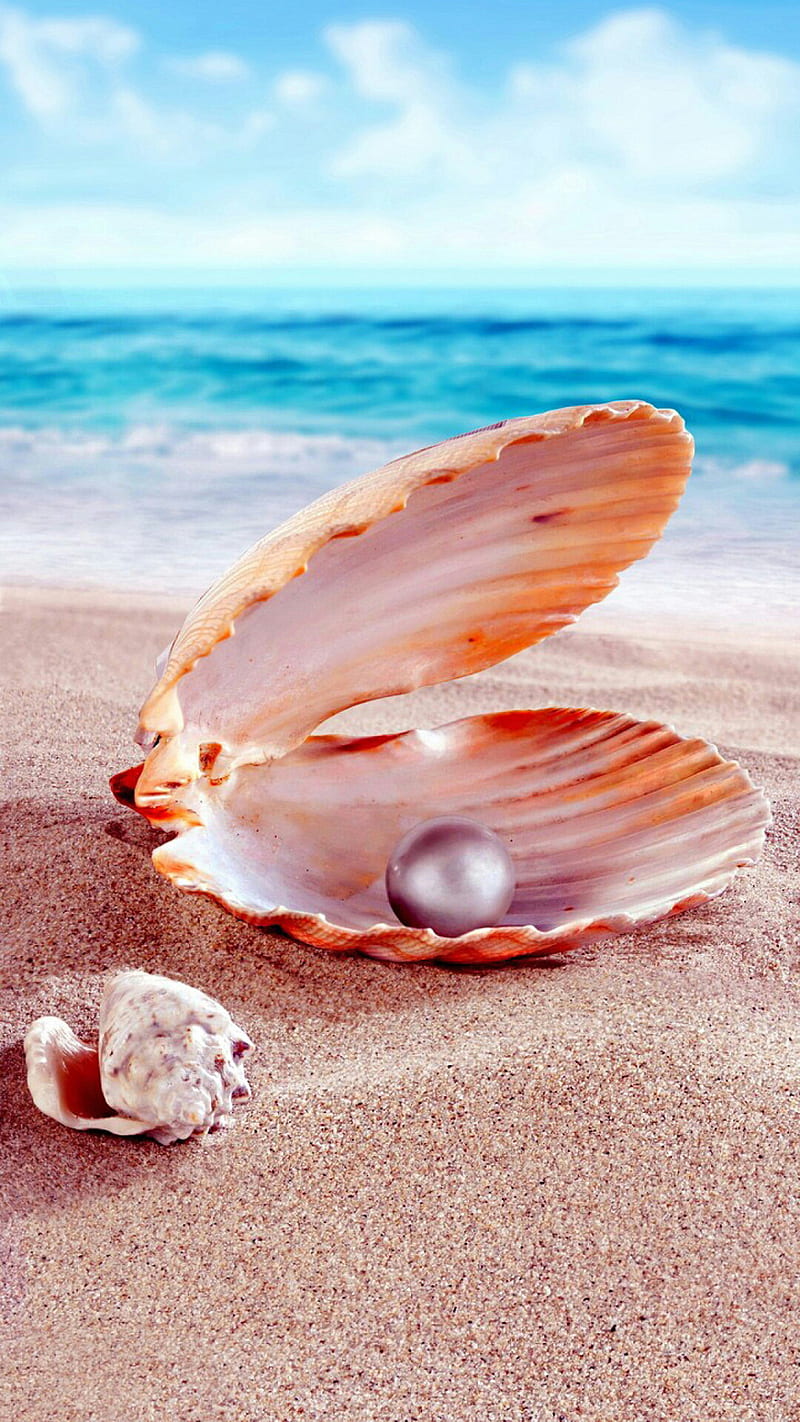 shell and pearl, clouds, sand, sea, water, wave, HD phone wallpaper
