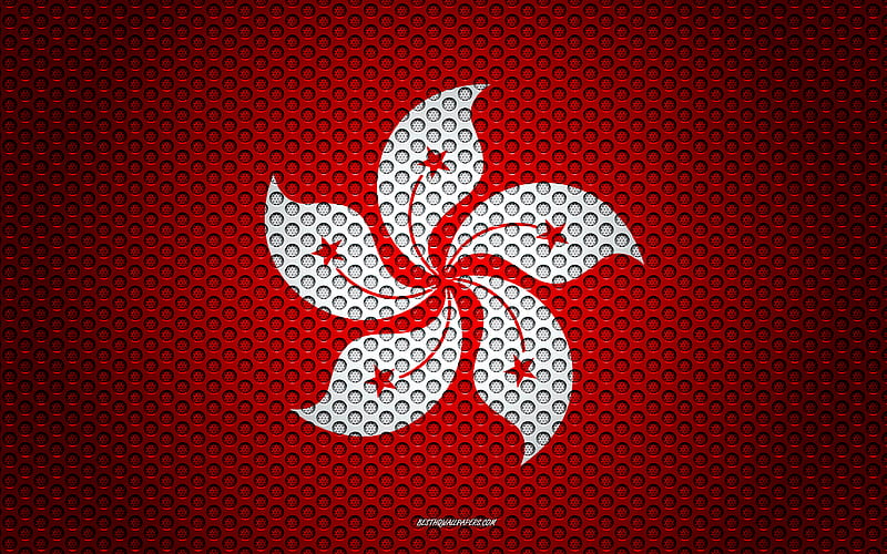 Flag of Hong Kong creative art, metal mesh texture, Hong Kong flag,  national symbol, HD wallpaper | Peakpx