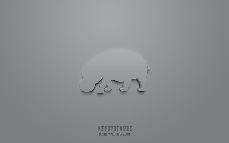 Hippopotamus 3d icon, gray background, 3d symbols, Hippopotamus, creative 3d art, 3d icons, Hippopotamus sign, Animals 3d icons, HD wallpaper