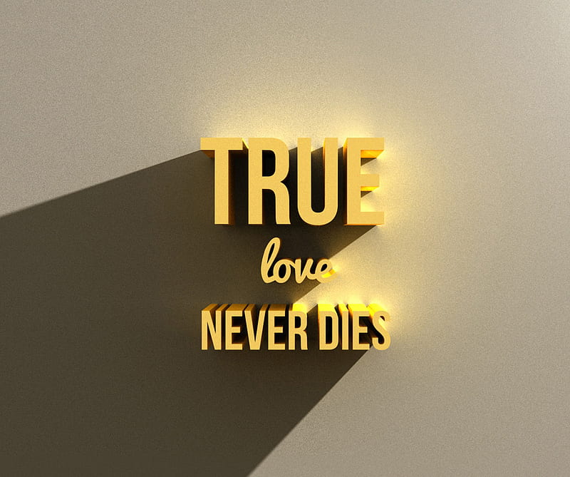 True Love, dies, siempre, love, never, romance, romanntic, true, HD wallpaper