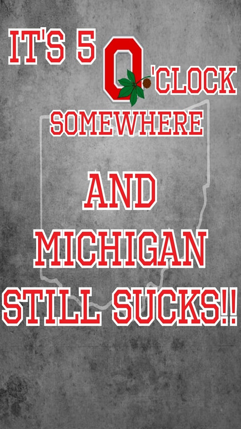 Michigan sucks, buckeyes, michigan, ohio state, sucks, HD phone wallpaper