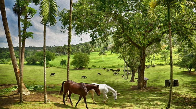 Brown and Gray horse in pasture, brown horses, Artwork, gray horses, Horses, Paintings, HD wallpaper