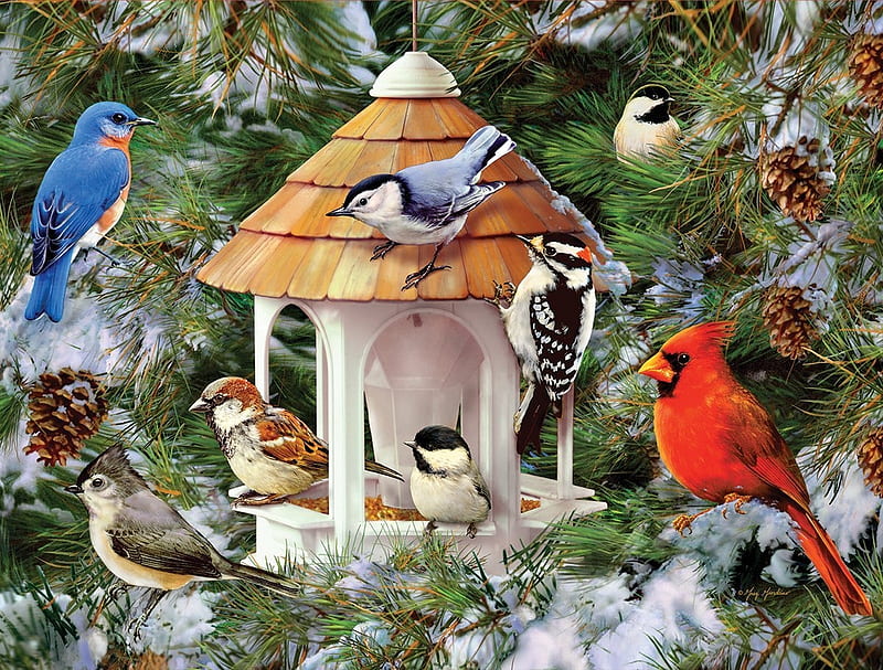 Bird Feeder, birds, sparrows, bluebird, artwork, winter, chickadees, snow, painting, cardinal, HD wallpaper