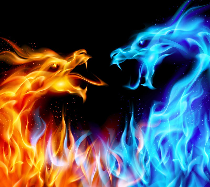 Fire dragons, dragon, flame, HD wallpaper