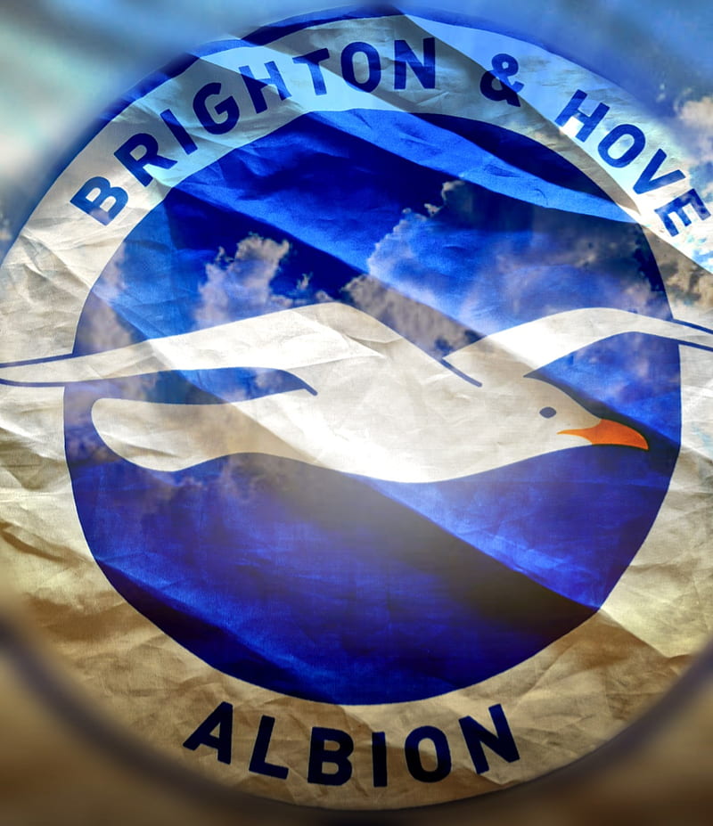 brighton hove Albion, brighton fc, football, HD phone wallpaper
