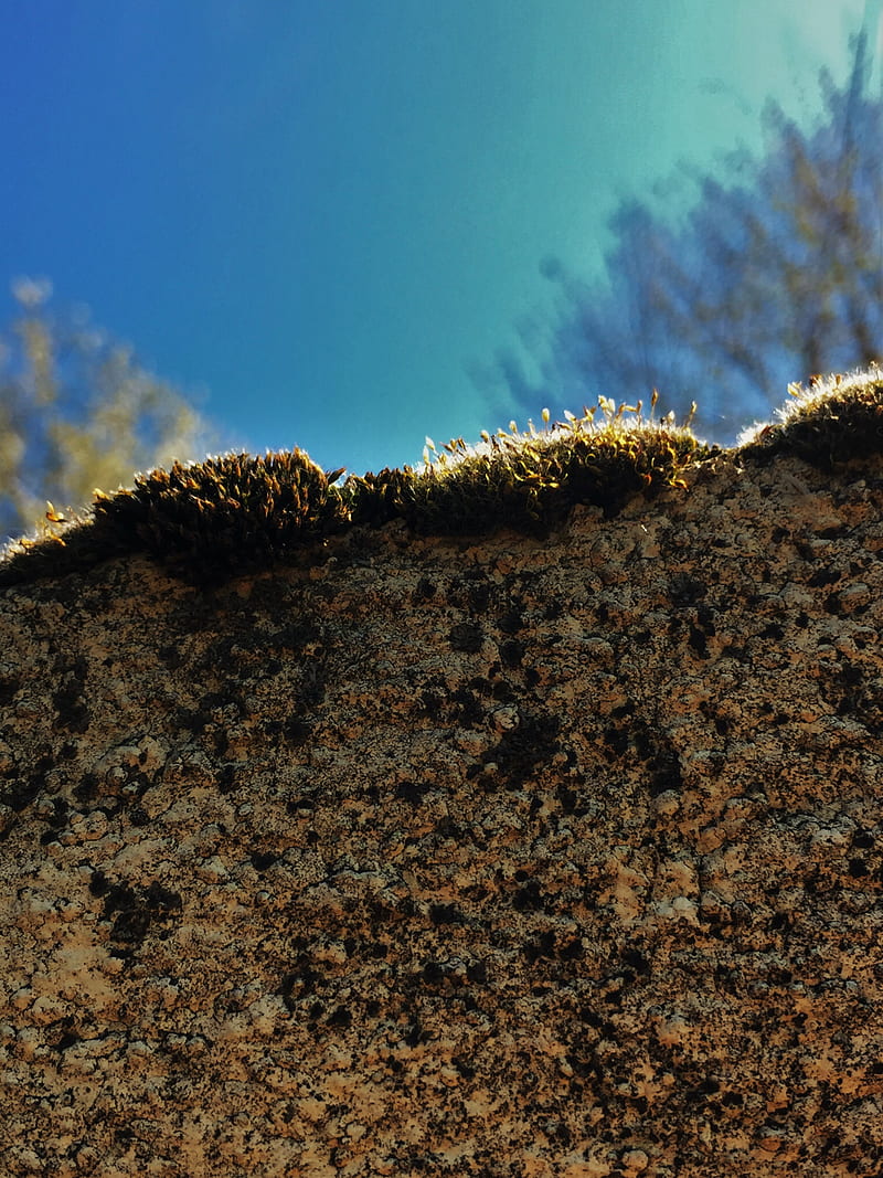moss, sky, depth of field, rock, HD phone wallpaper