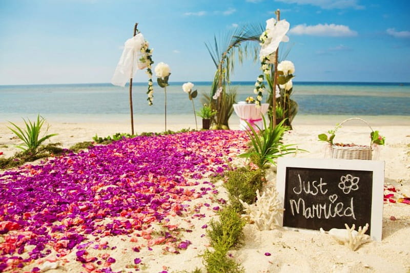 Just Married, beach, flowers, ptals, abstract, HD wallpaper
