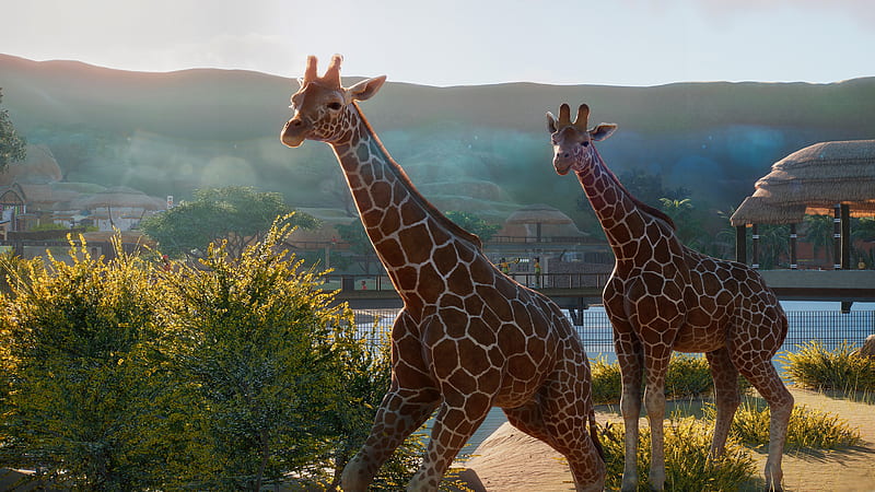 Planet Zoo, E3 2019, screenshot, HD wallpaper