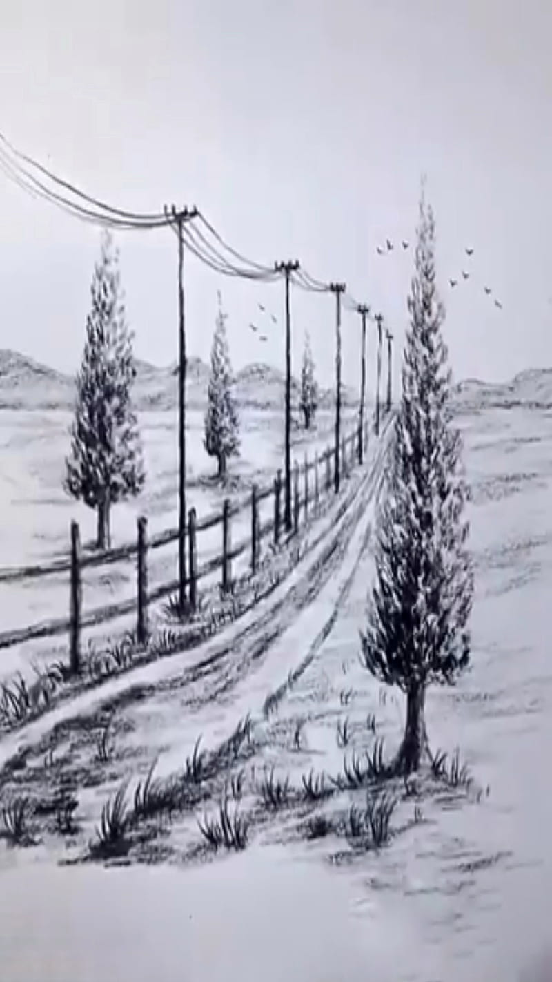 Black And White Pencil Nature Sketch Painting, Size: A4 at Rs 200/sheet in  Ongole