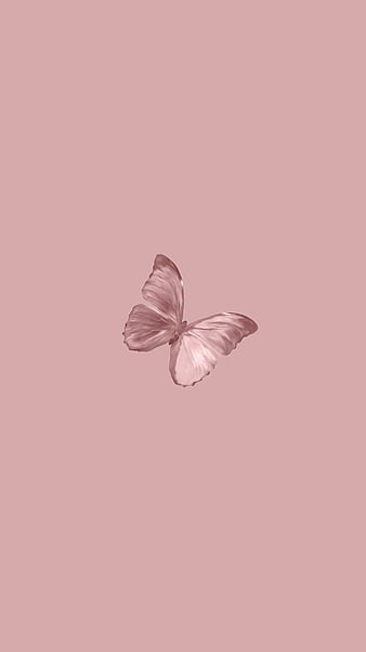 Butterfly aesthetic mobile wallpaper with design  Premium Photo  rawpixel