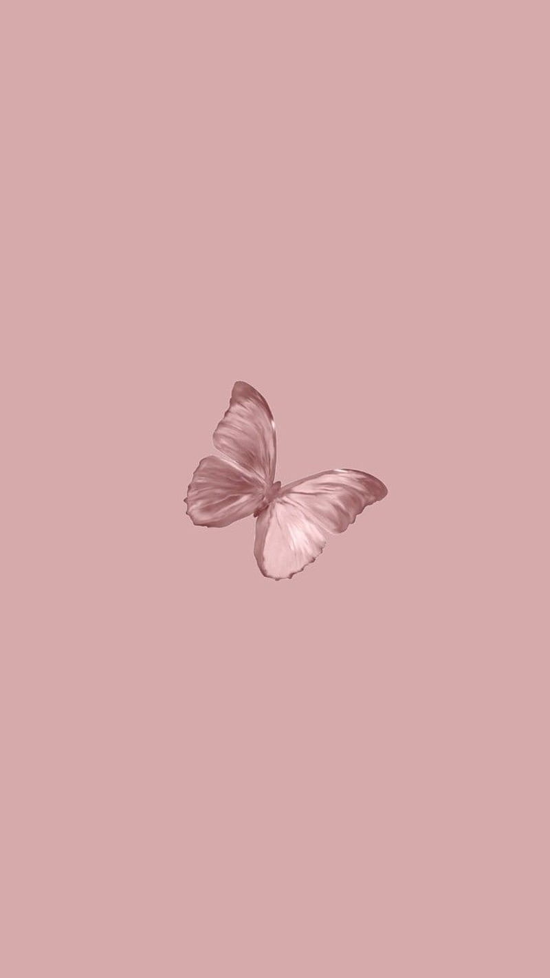 Aesthetic, butterflies, butterfly, HD phone wallpaper