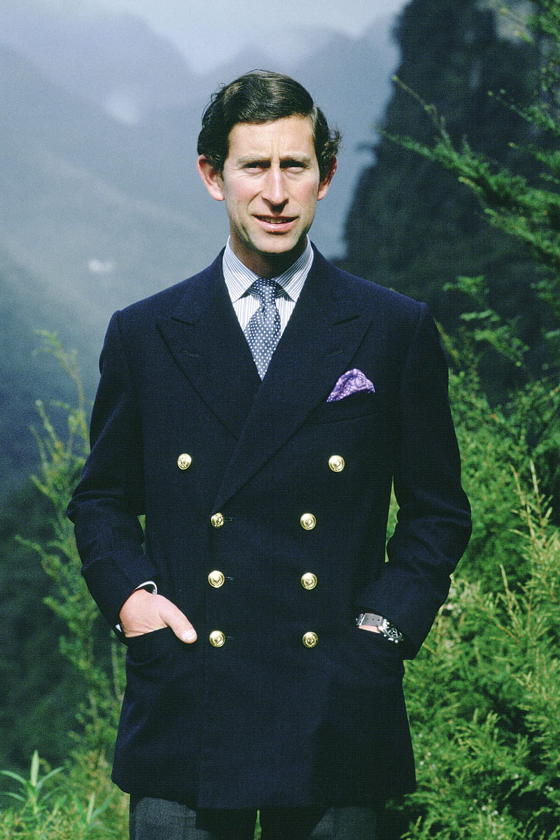 Prince Charles Through History - Prince of Wales Timeline, HD phone wallpaper