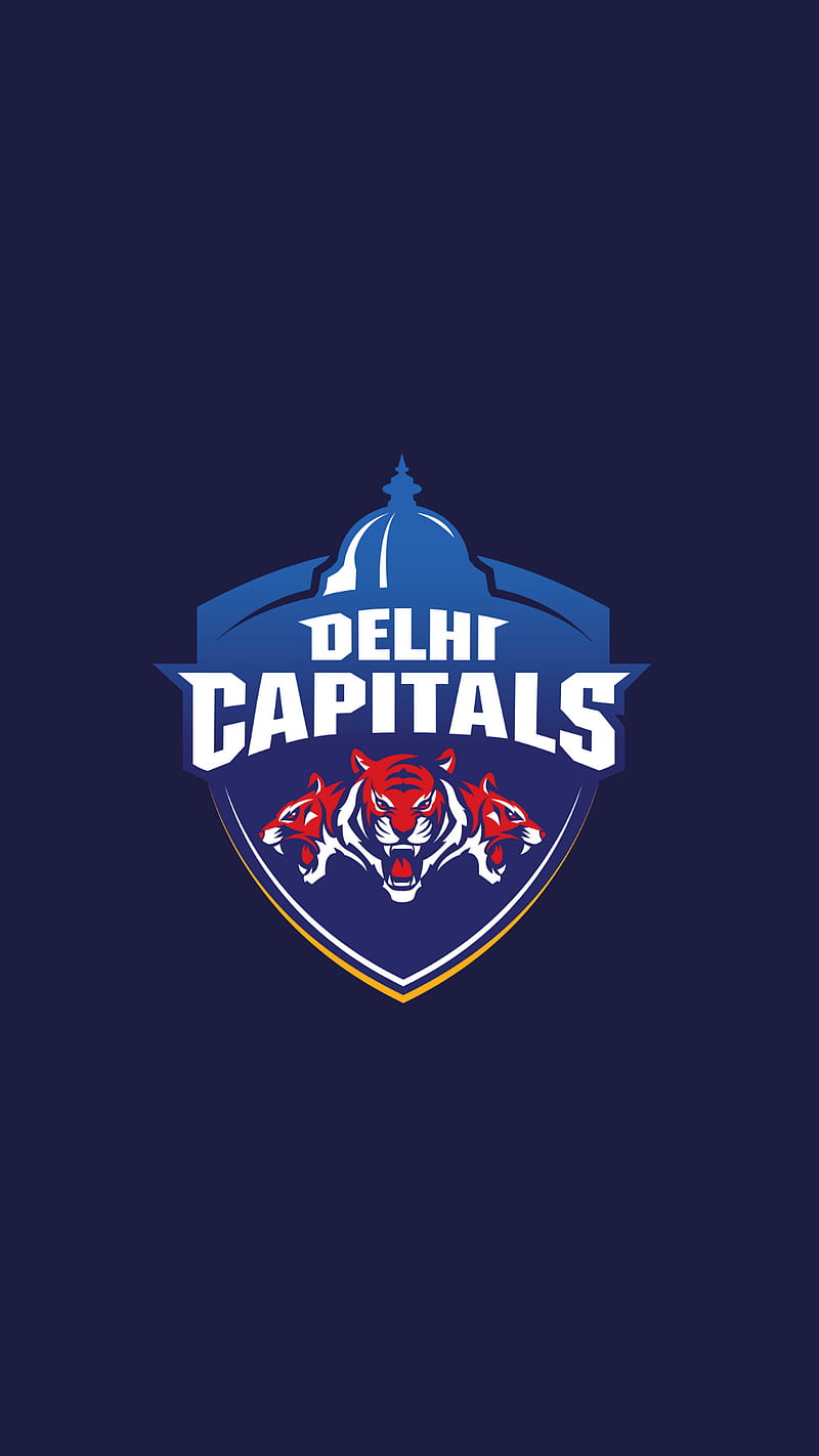 Delhi Capitals, cricket, dc, dream11, ipl, iplt20, esports, t20, HD phone  wallpaper | Peakpx