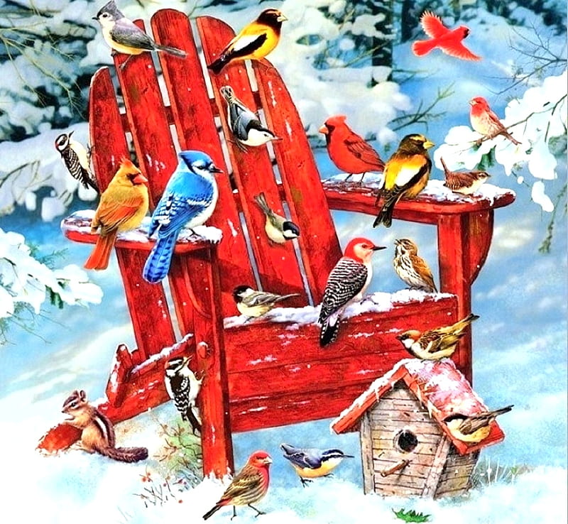 Adirondack Birds, holidays, love four seasons, birds, attractions in dreams, adirondack, xmas and new year, winter, cardinals, paintings, snow, winter holidays, HD wallpaper