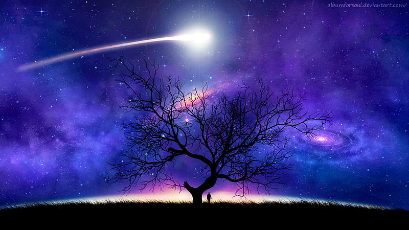 tree, silhouette, space, night, starry sky, comet, HD wallpaper