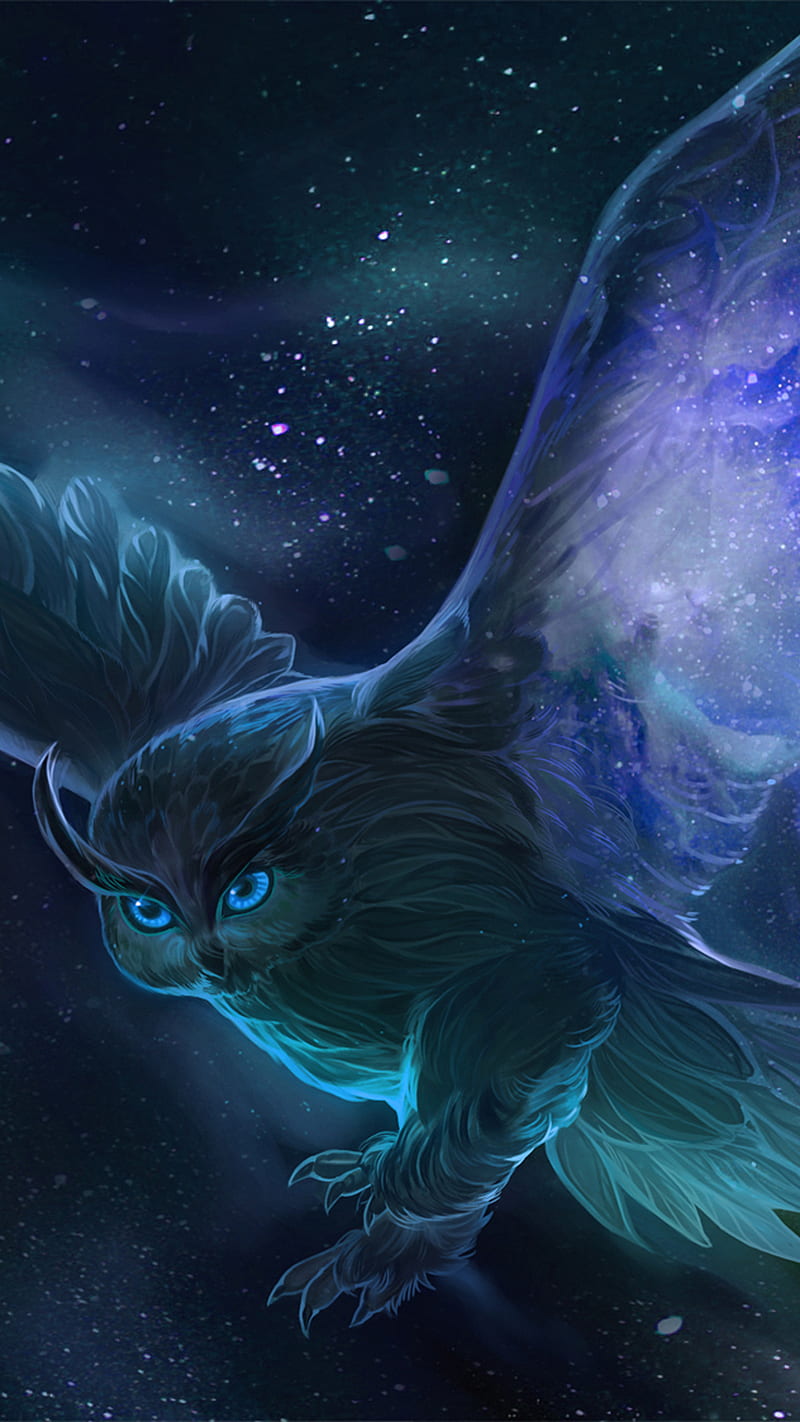 Owl, bird, blue, night, HD phone wallpaper