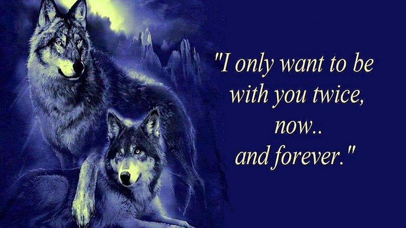 to be with you, friendship, quotes, pack, dog, lobo, arctic, black, abstract, winter, timber, snow, wolf , wolfrunning, wolf, white, lone wolf, howling, wild animal black, howl, canine, wolf pack, solitude, gris, the pack, mythical, majestic, wisdom beautiful, spirit, canis lupus, grey wolf, nature, wolves, HD wallpaper