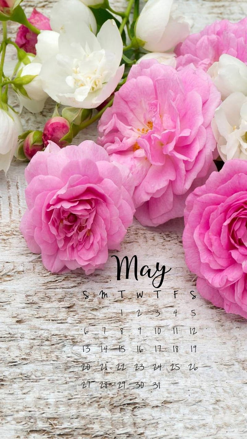 May Flowers 2018, may2018, mayflowers, HD phone wallpaper