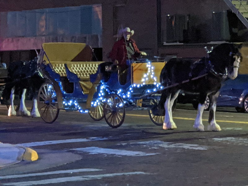 Cowboy in Decorated Horse Drawn Wagon, Cowboy, Lamp, Hat, Street, Pretty, Carriage, Christmas, Decorated, Horse, Man, Lights, Snow, HD wallpaper