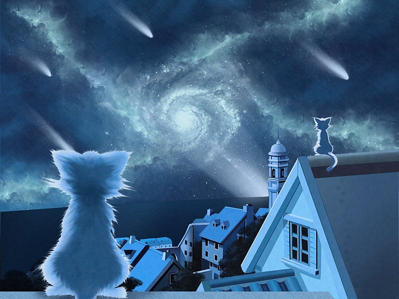 Starry night with cats, stars, art, roof, house, luminos, cat, starry night,  HD wallpaper | Peakpx
