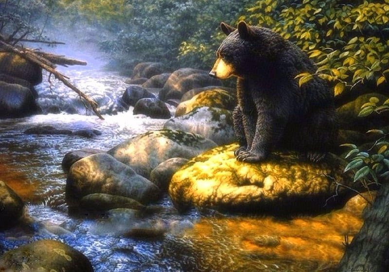 Place in the Sun, rocks, draw and paint, love four seasons, bear, attractions in dreams, black bear, paintings, summer, nature, forests, animals, rivers, HD wallpaper
