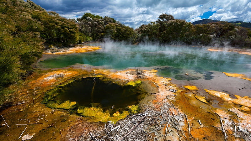 ROTORUA, NEW ZEALAND, geothermal, lakes, water, landscapes, steam, trees, clouds, geyser, HD wallpaper