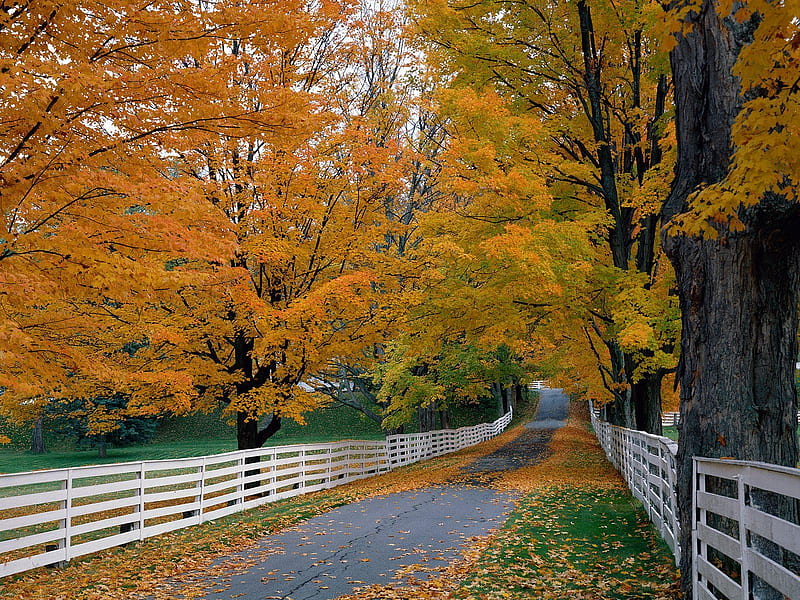 Scenic Backroad New Hampshire, fence, autumn, scenic, backroad, new ...