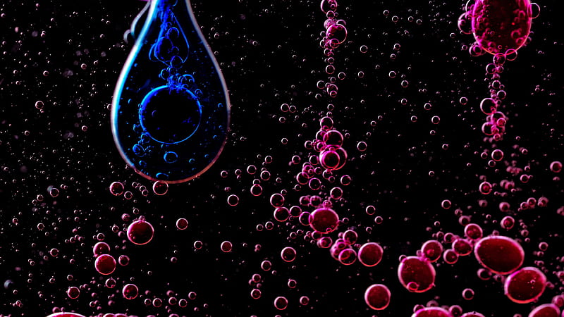 Pink Liquid Bubbles Drops Black Background Abstract, HD wallpaper