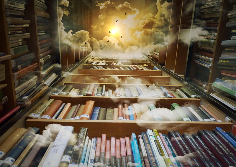 Library Shelves Clouds Sunlight, Harry Potter Bookcase Wallpapers 4k Pc