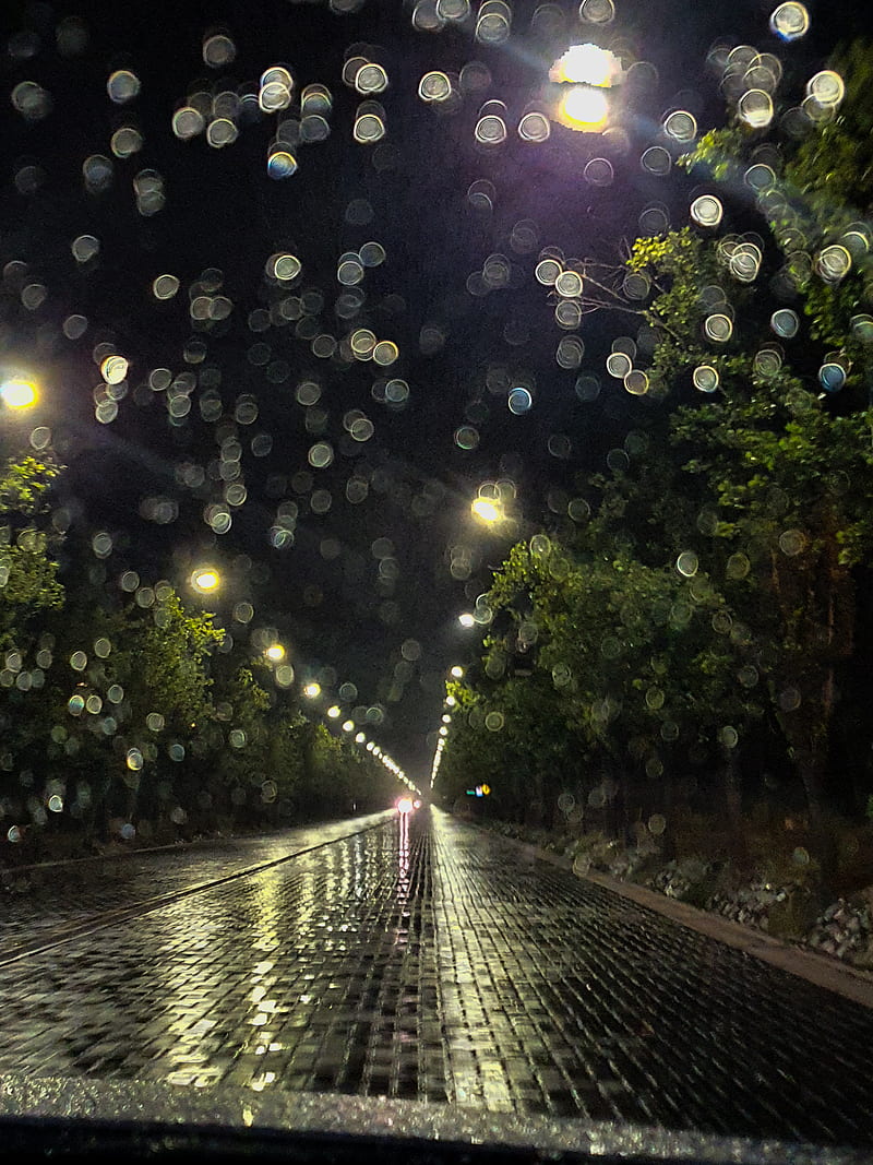 Luvia de Parque, background, rain, dark, landscape, HD phone wallpaper