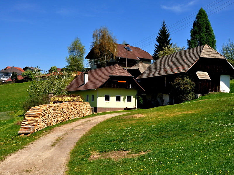 carinthia southern austria, austria, tree, grass, houses, HD wallpaper