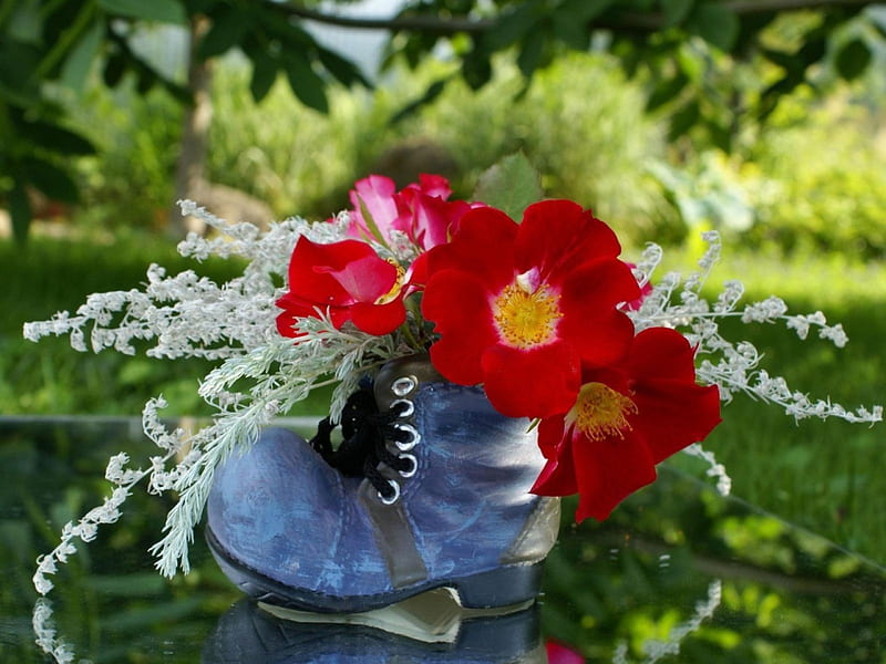 *** Fantastic blue shoe with red poppies ***, maki, kwiaty, czerwone, nature, HD wallpaper