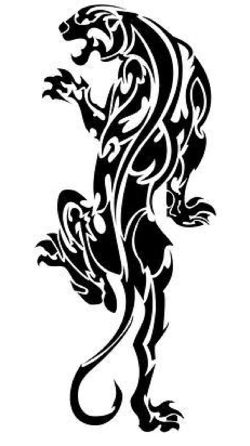 A fierce panther head in tribal tattoo style depicted in black and white  line art Hand drawn illustration 21568098 Vector Art at Vecteezy