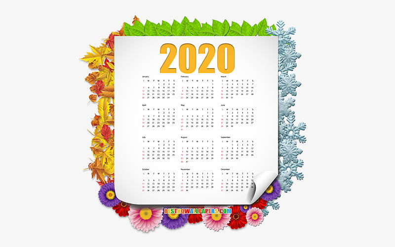 2020 Calendar, all months, 4 seasons frame, 2020 concepts Calendar for 2020, frame of snowflakes, frame from flowers and leaves, Year 2020 Calendar, HD wallpaper