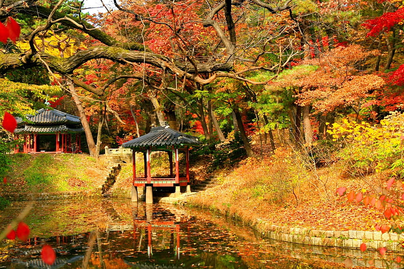 Autumn Gazebo, Fall, Autumn, Colors, Bonito, Park, Trees, Foliage, Pond ...