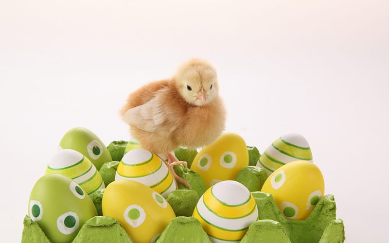 Happy Easter!, egg, bird, green, chicken, yellow, easter, white, HD wallpaper