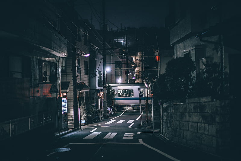 Japan during Night, city, new, street, tokyo, HD wallpaper