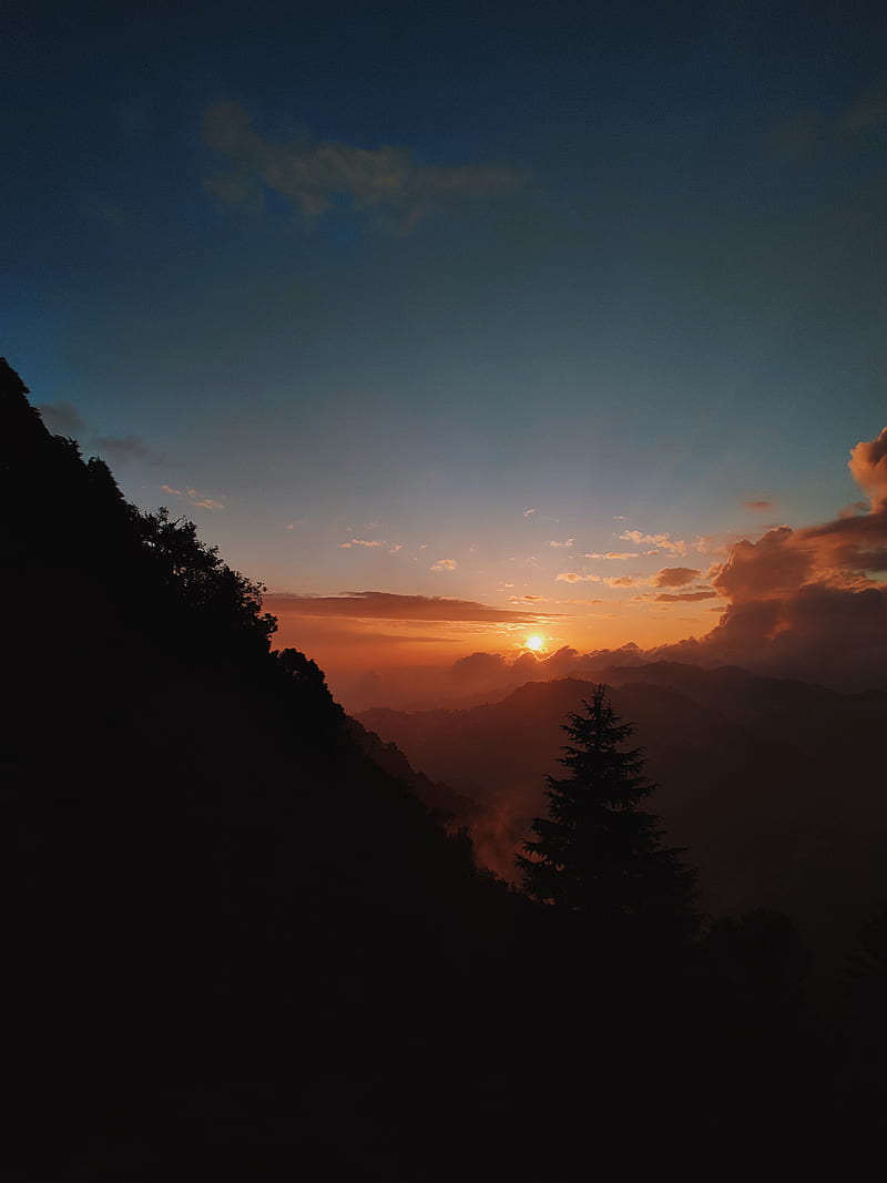 sunset, slope, fog, forest, HD phone wallpaper